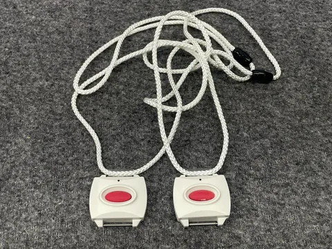 Lot of 2 Qolsys Inc QS-6110-P01 | Iq Pendant - UNTESTED
