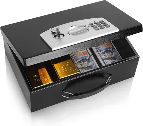 Dalmbox Portable Metal Safe Box with Digital Code Lock,Fire Resistant Storage fo