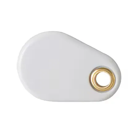 SPECO TECHNOLOGIES APSK3 Proximity Key Ring Tag