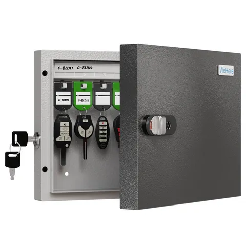 16 Key Lock Box – Wall Mounted Key Cabinet with Dual Lock (Key & 3-Digit Comb...
