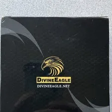 DivineEagle Premium Plug-in Dome Camera 1080p Full HD Always-On Motion Detection