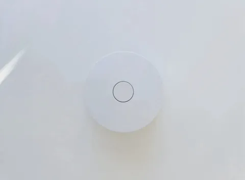 SimpliSafe Water Sensor (WT3) Water Flood Leak Detector New