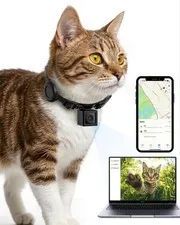 PaxsreeKam Cat Camera Collar 1080P HD