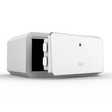 W-Series Security Box with Key, Safe Box,1.45 Cubic Fingerprint #2042S G1