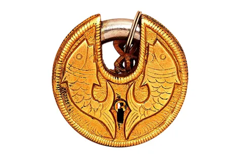  Brass Round Fish Design Security Lock with 2 Keys Home Decor Door Lock 2.8" 