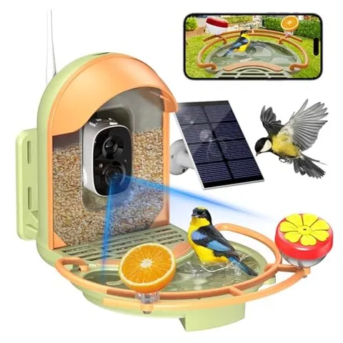 Bird Feeder with Camera, Bird Bath, Solar Powered, 2K With BirdBath Light Green
