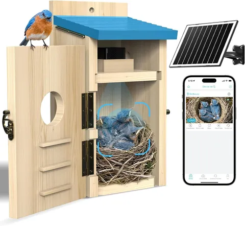 Bluebird House W/ Camera,Bird House W/ Camera Solar Powered Motion Detect &