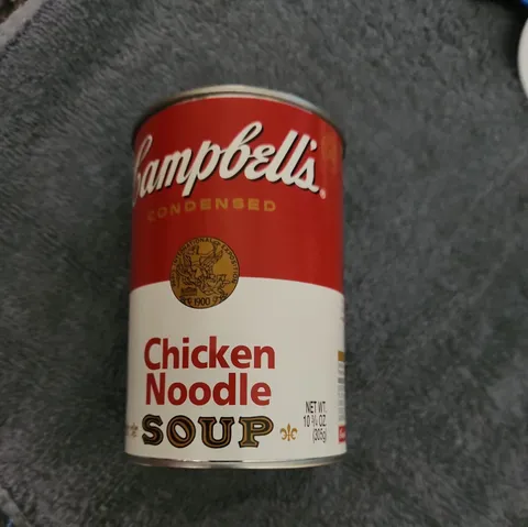 Campbell's Chicken Noodle Decoy Can Secret Safe Hidden Lock Free Standing