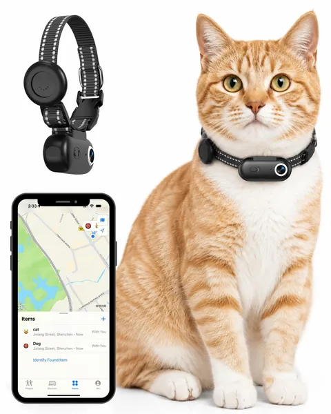 Cat Camera Collar with Phone App and Location Tracker, Pet POV Cam