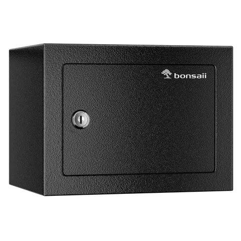 0.22 Cubic Feet Safe Small Home Money Safe Box with Key Lock