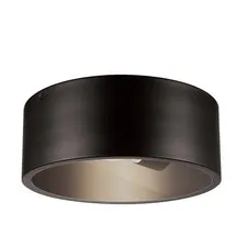 Globe Electric 44479 Teagan 1-Light Outdoor (Pack of 1), Bronze,